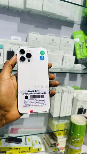 Apple iPhone 12 Pro Max 256 GB White