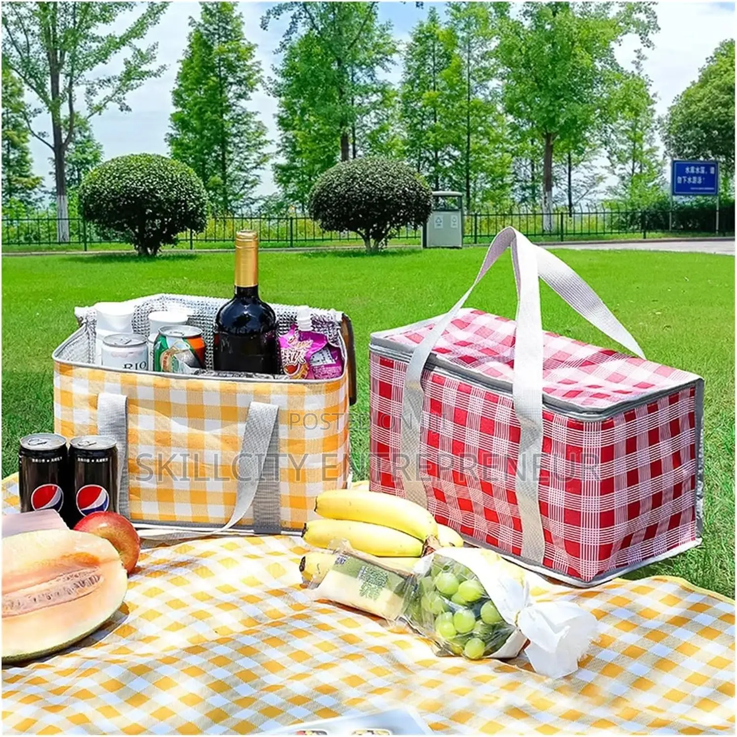 Insulated Picnic Bag