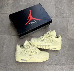 Jordan 4 Retro Net