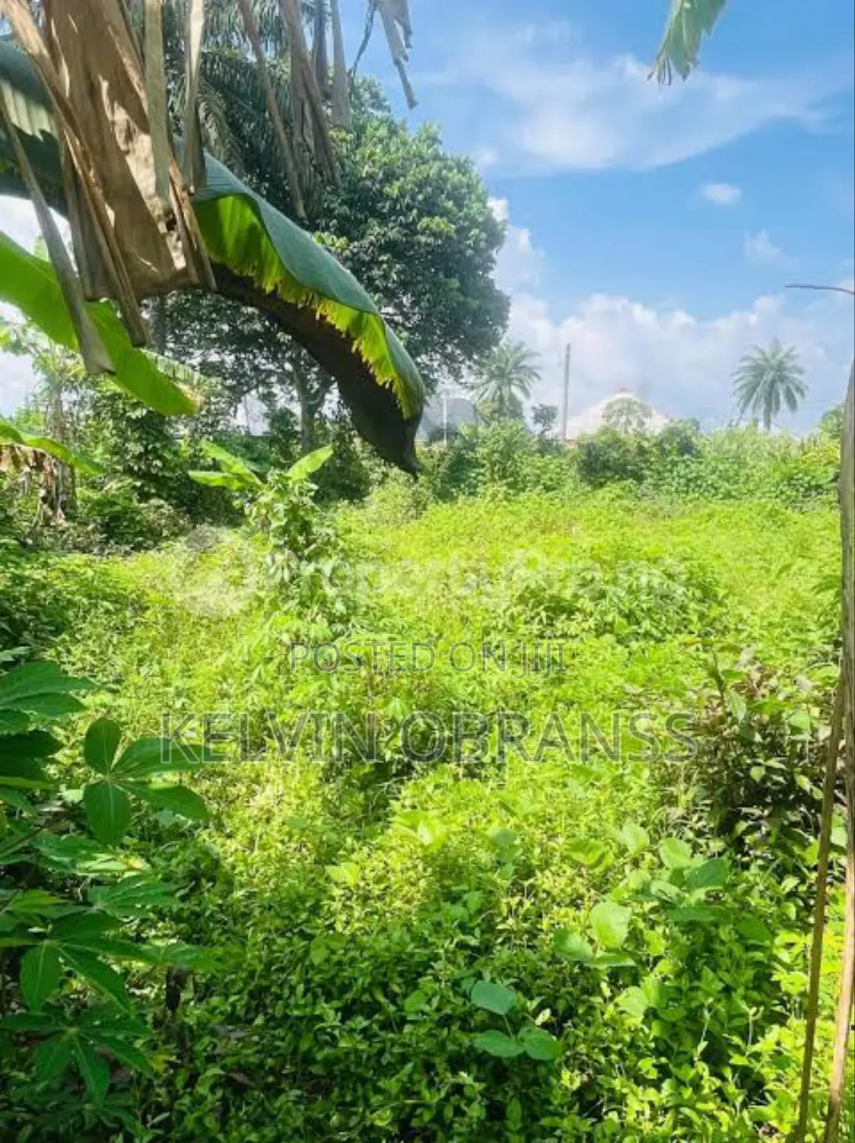 Properties for Sale