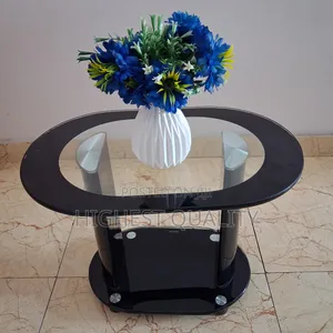 Small Oval Glass Center Table