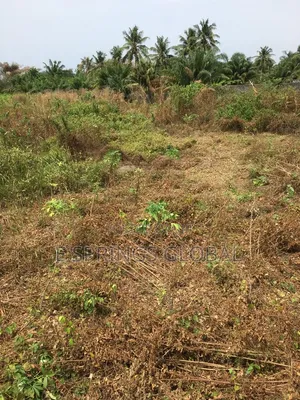2 Acres of Land Available for Sale, Either Per Plot or All 2 Acres