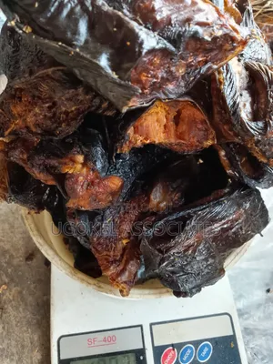 Smoke Dried Catfish Fish