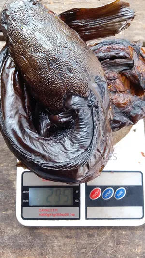 Smoke Dried Catfish Fish