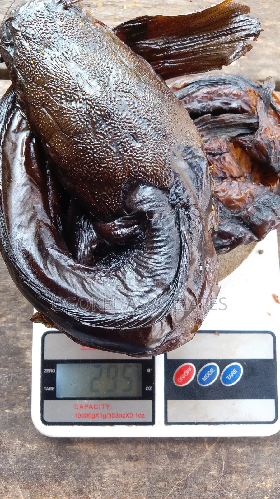 Smoke Dried Catfish Fish