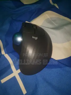 Logitech Wireless Mouse