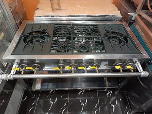 6 Burner Industrial Gas Cooker With Stock Pot Burner