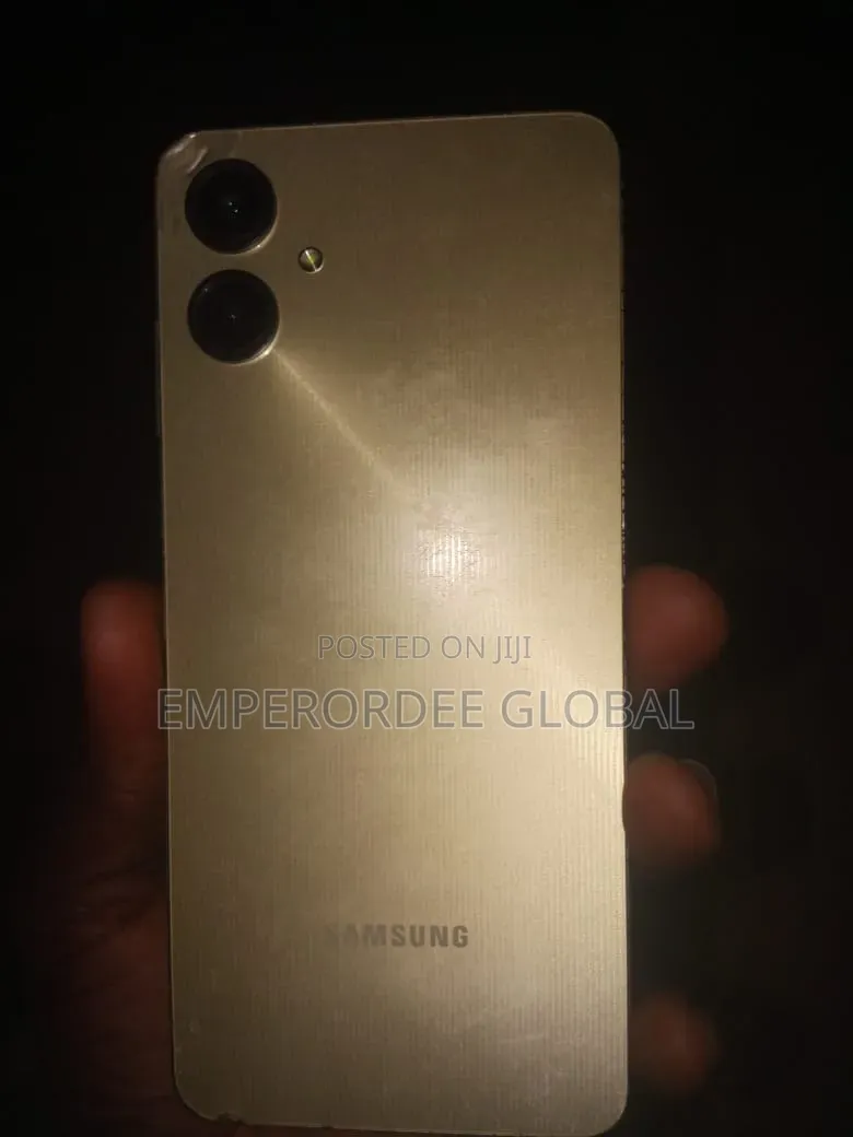 Samsung Galaxy A06 64 GB Silver