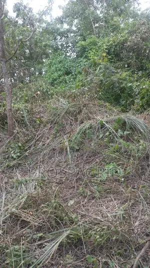 1 Acre of Land