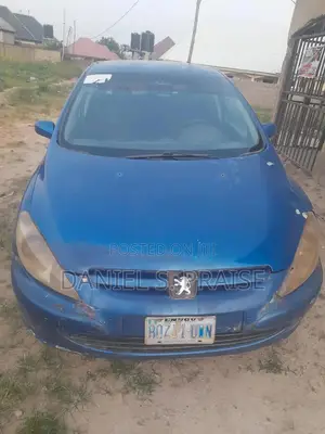 Peugeot 307 1.4 2005 Blue