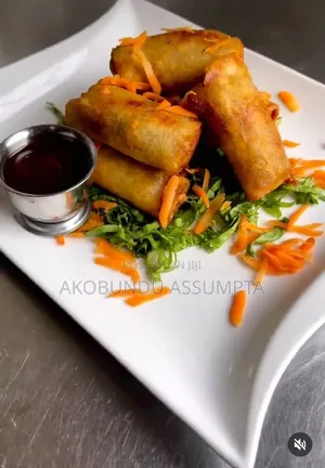 Private Chef Personal Cook Services in Abijo GRA Lekki