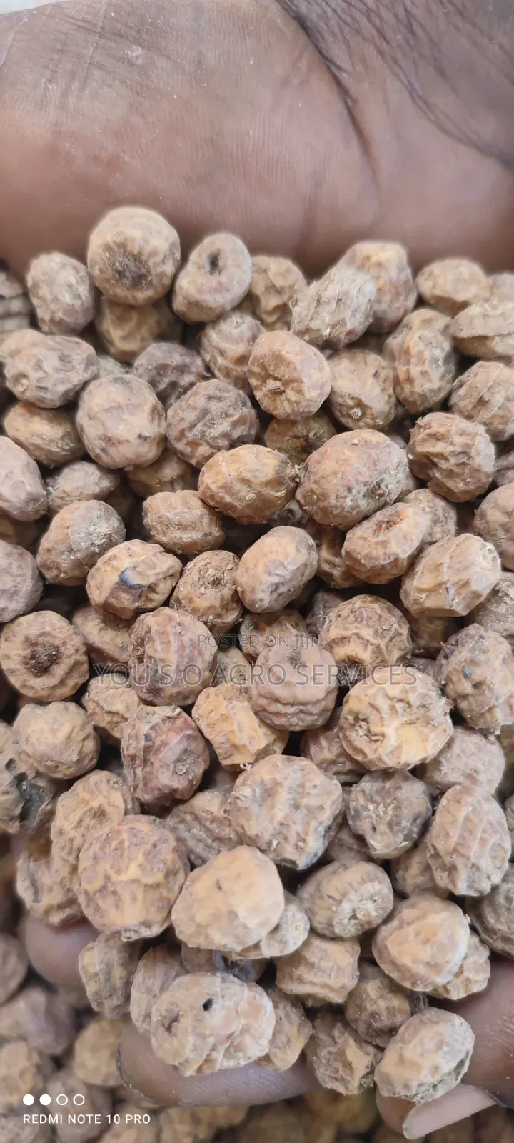 Tiger Nuts (Aya) From Niger