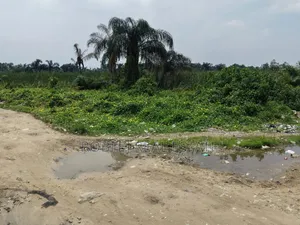  for Sale: 5 Acres at Alasia, Ajah–lekki, Lagos
