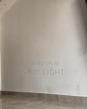 Top-Tier Professional Cleaning Services: Residential in Abuja