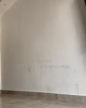 Top-Tier Professional Cleaning Services: Residential in Abuja