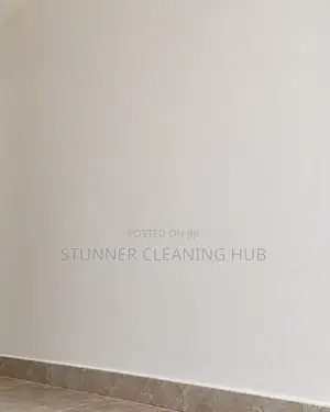 Top-Tier Professional Cleaning Services: Residential in Abuja