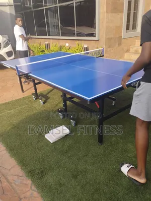 Indoor Table Tennis Board
