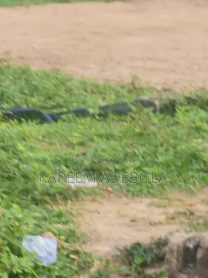Residential Land at Nicon Town Estate Ikate Lekki