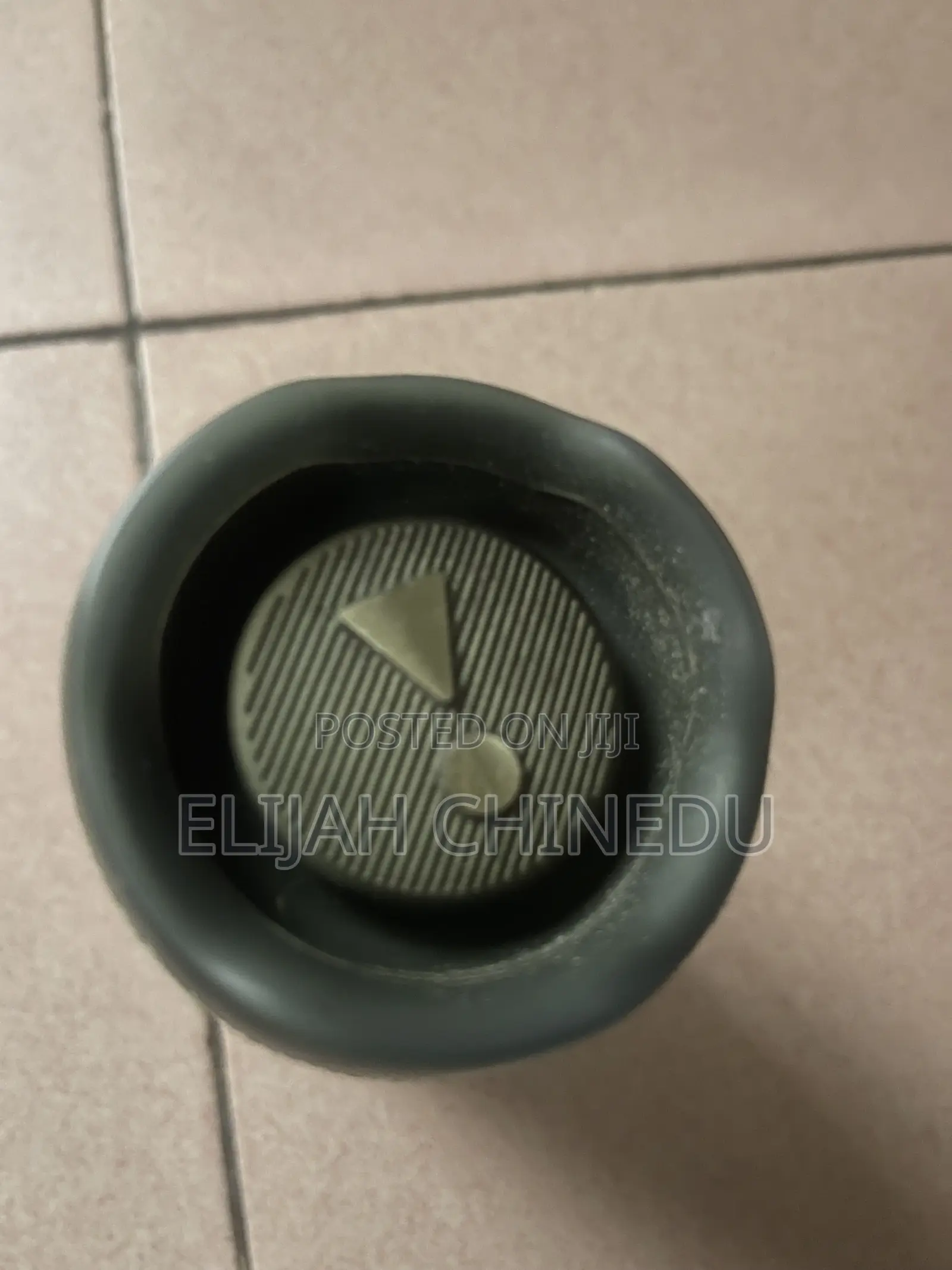 JBL Flips 6