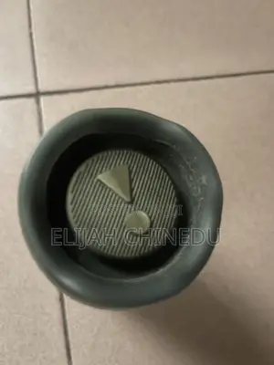 JBL Flips 6