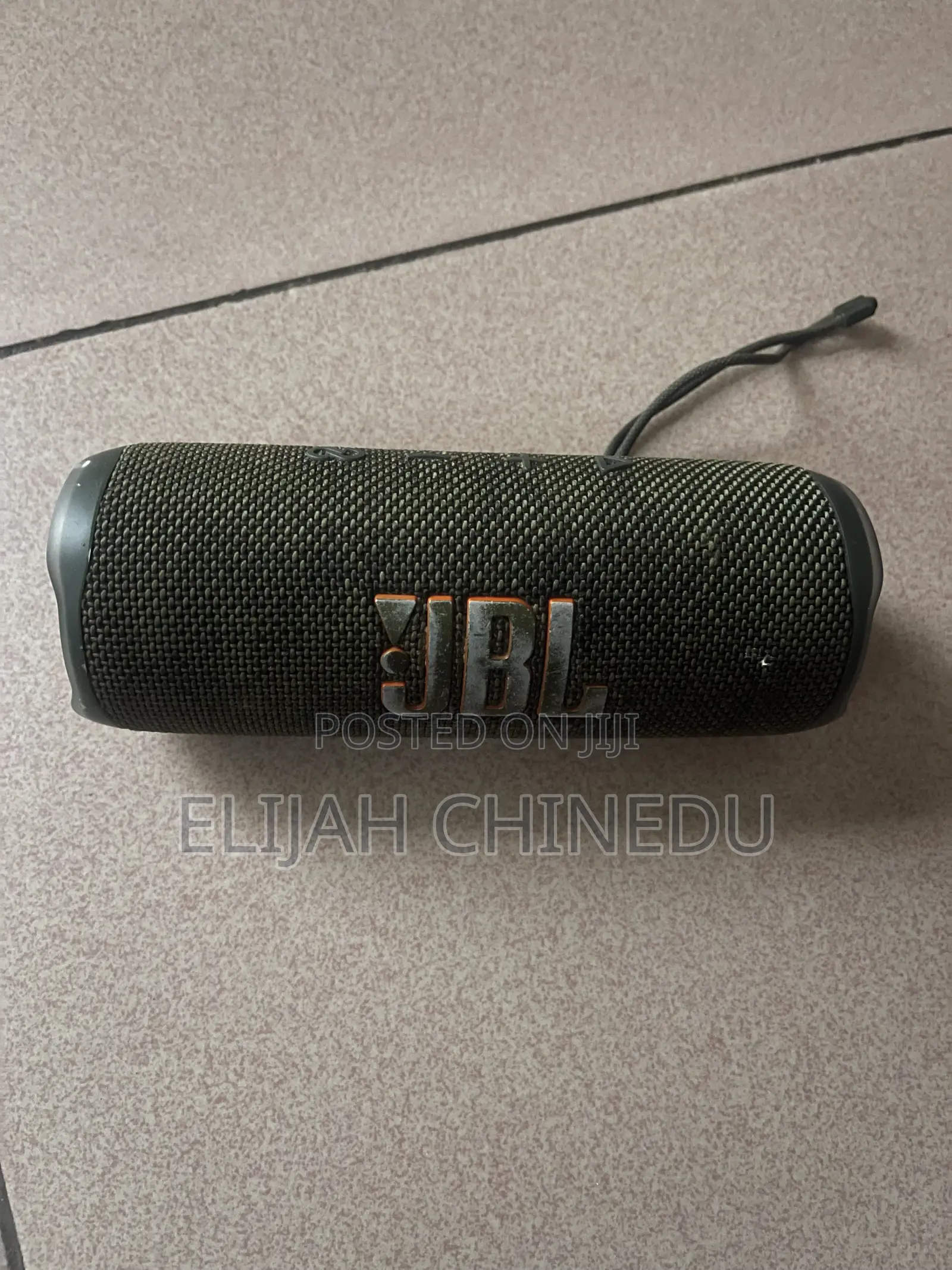 JBL Flips 6