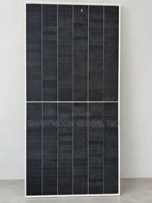LONGi 650W Bifacial Solar Panel