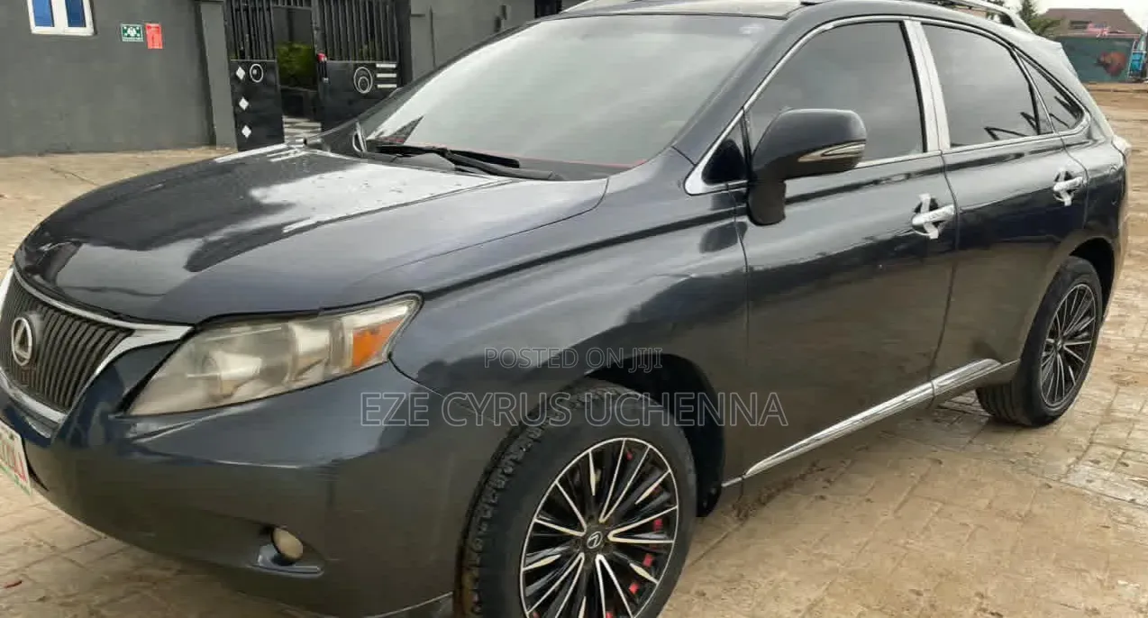 Lexus RX 2010 Gray