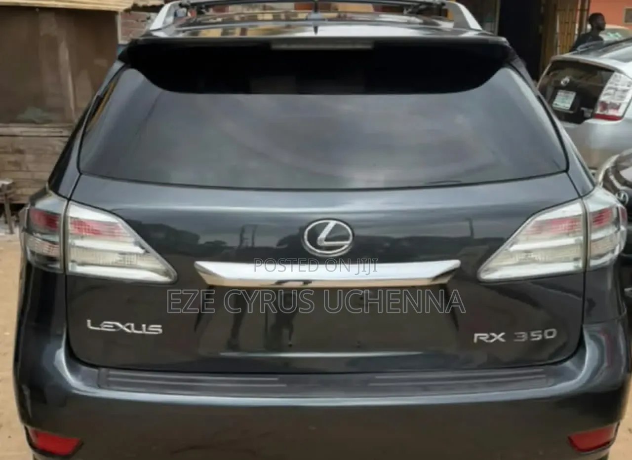 Lexus RX 2010 Gray