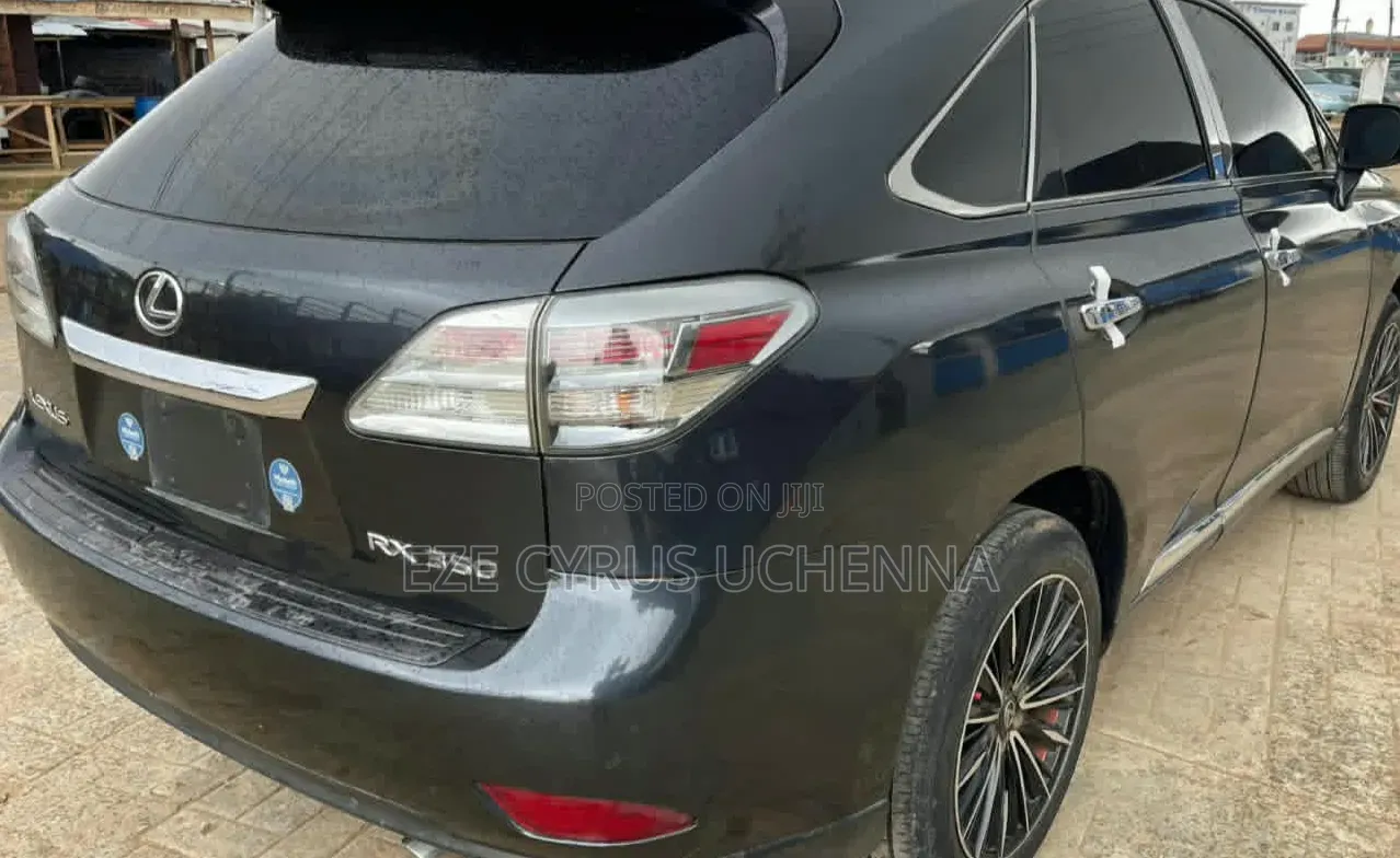 Lexus RX 2010 Gray