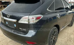 Lexus RX 2010 Gray