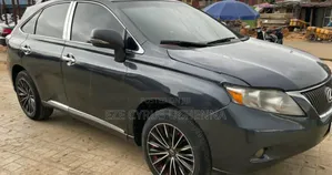 Lexus RX 2010 Gray