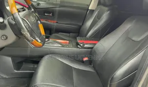 Lexus RX 2010 Gray