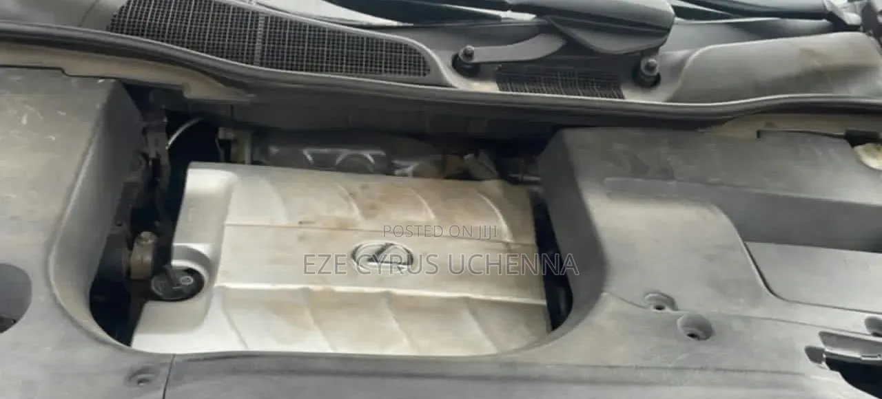 Lexus RX 2010 Gray