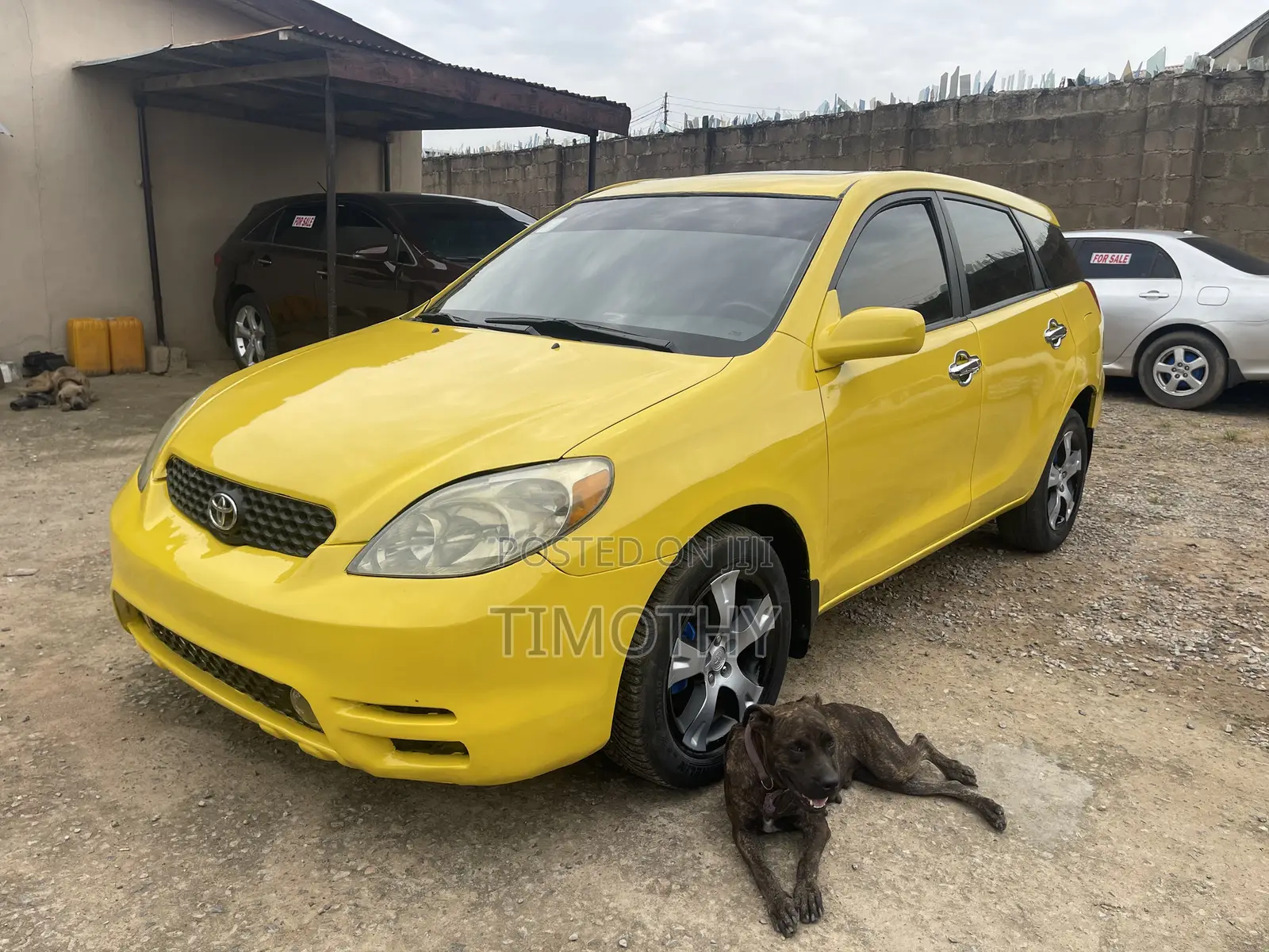 Toyota Matrix 2004 Yellow