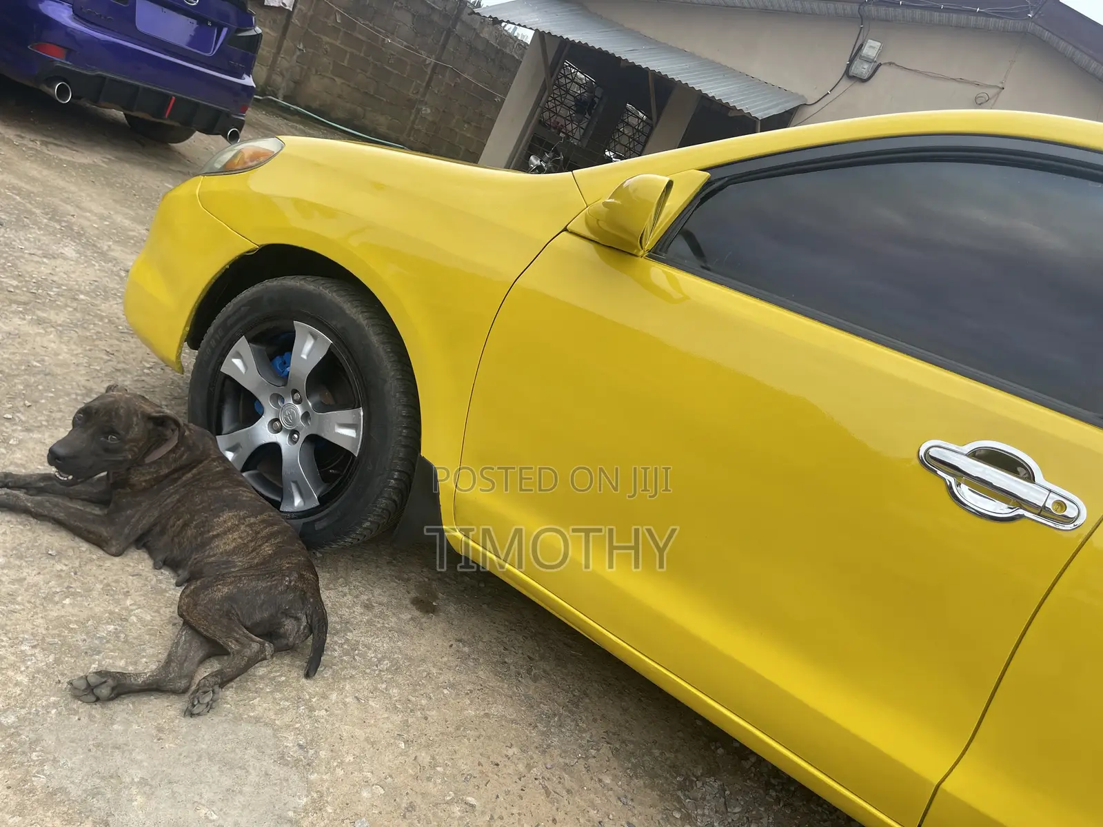 Toyota Matrix 2004 Yellow
