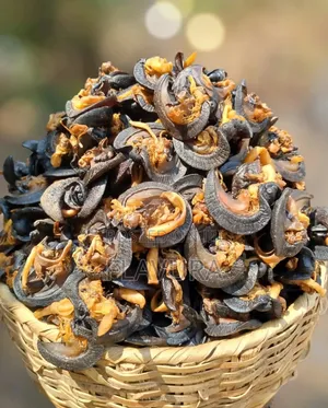 Dried Snail