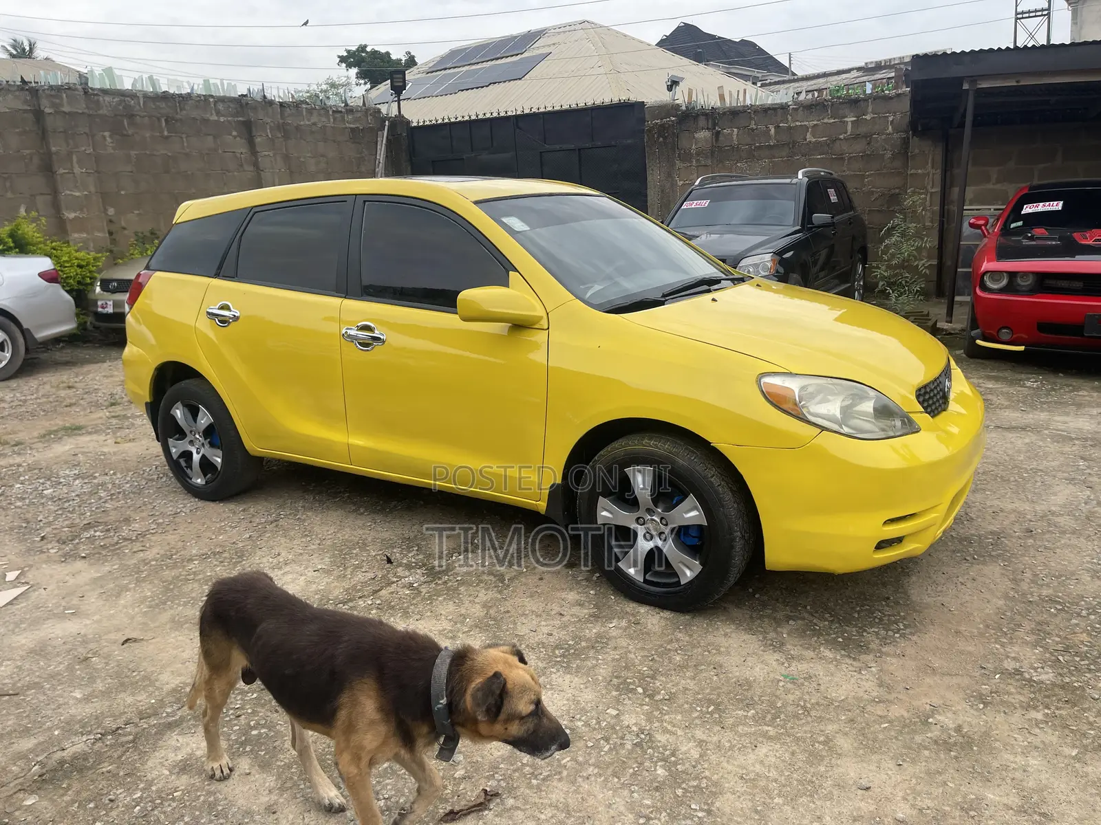 Toyota Matrix 2004 Yellow