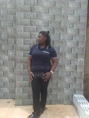 Housekeeping & Cleaning CV