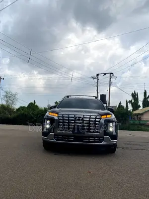 Hyundai Palisade Calligraphy 2023 Black