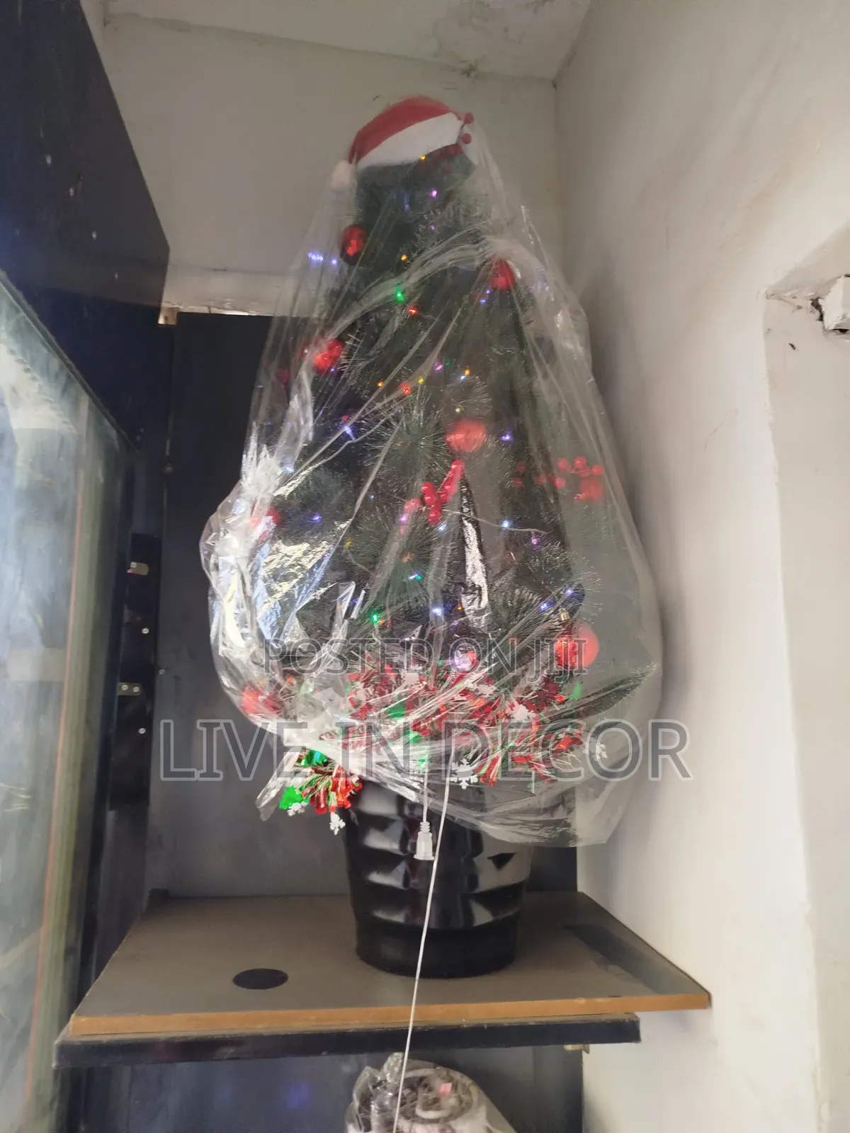 Potted Christmas Tree