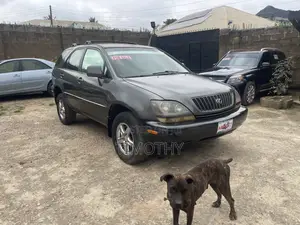 Lexus RX 2000 Gray