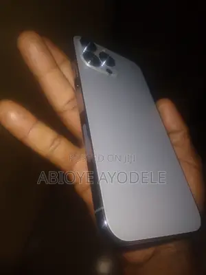 Apple iPhone 13 Pro Max 256 GB Gray