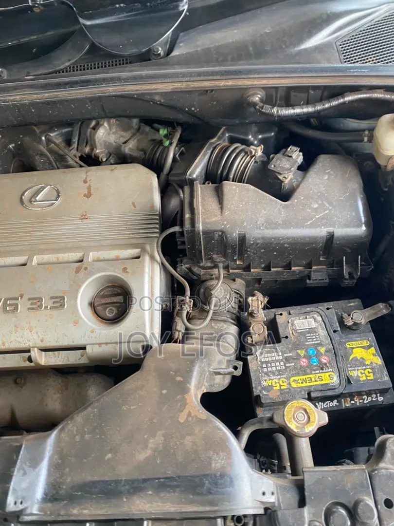 Lexus RX 330 2006 Blue
