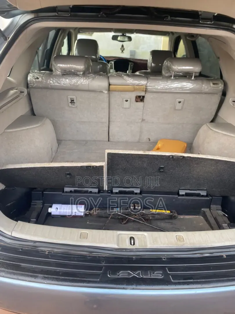 Lexus RX 330 2006 Blue