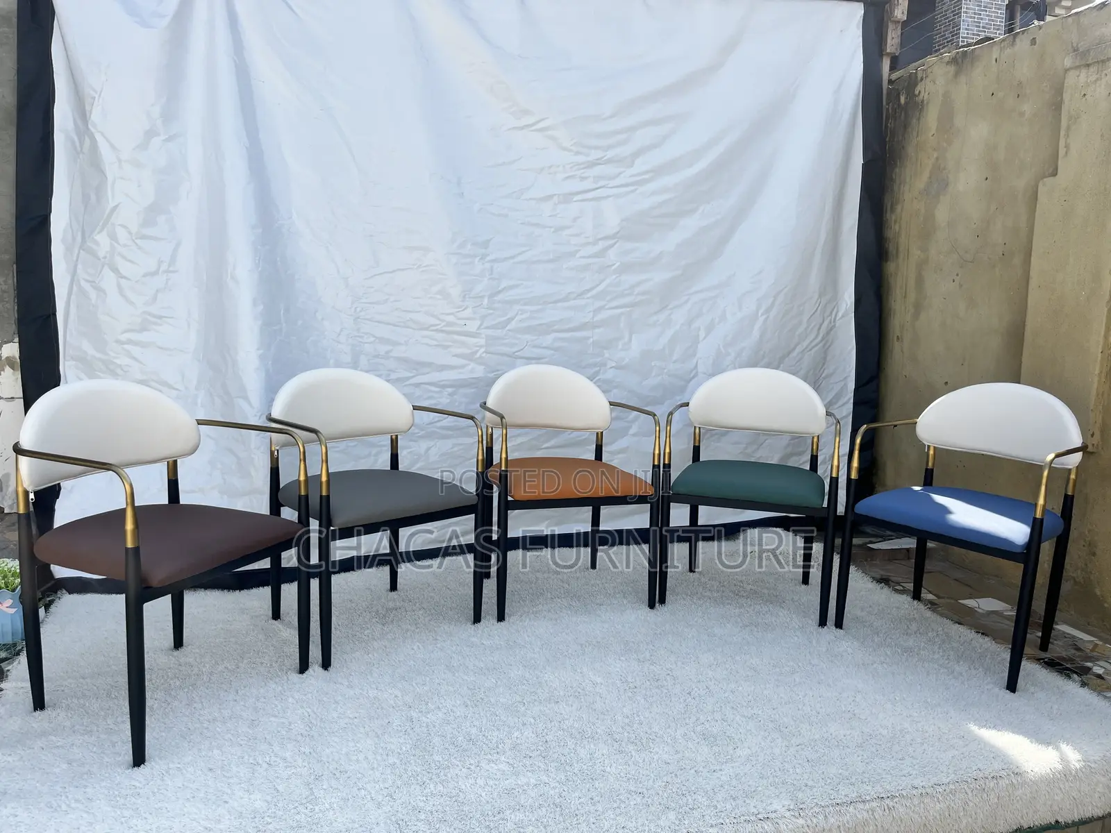 Luxury Two-Tone Leather Dining Armchair With Brushed Gold Frame