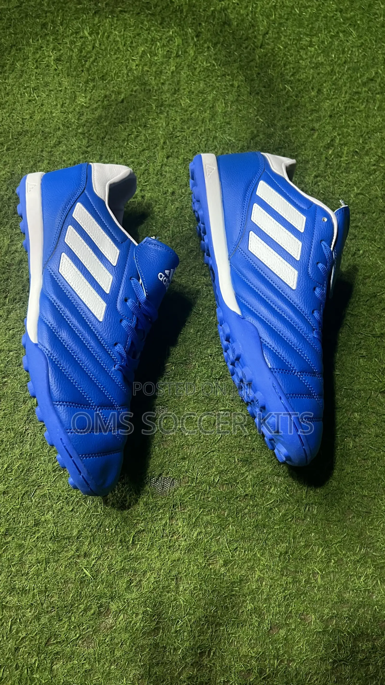 Adidas Copa Canvas Boot (Blue)(46)