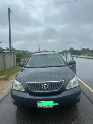 Lexus RX 330 2006 Gray