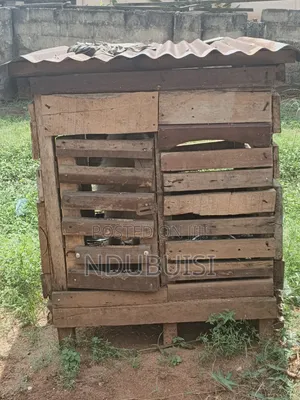 Dog Cages Available