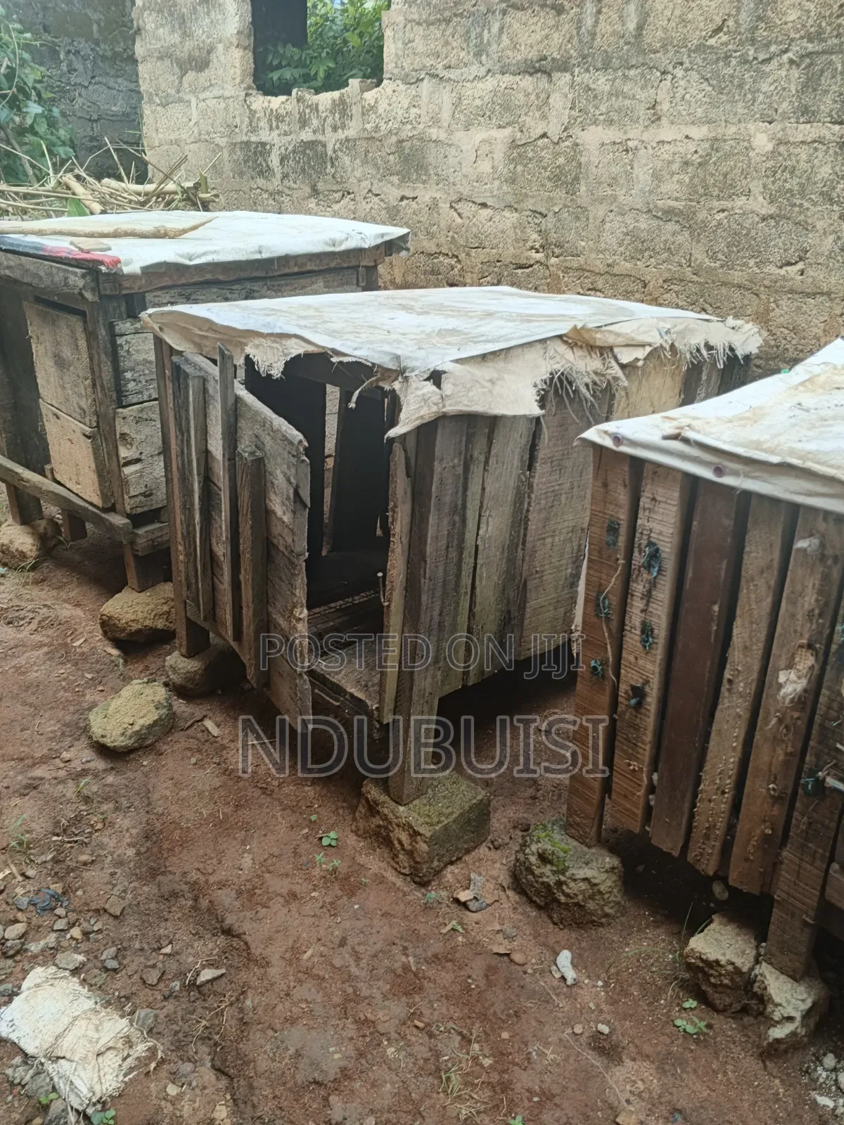 Dog Cages Available for Sale