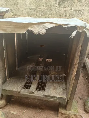 Dog Cages Available for Sale
